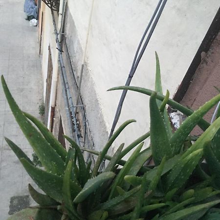 Bilocale Serpotta Di Mary& Gio Apartment ปาแลร์โม ภายนอก รูปภาพ