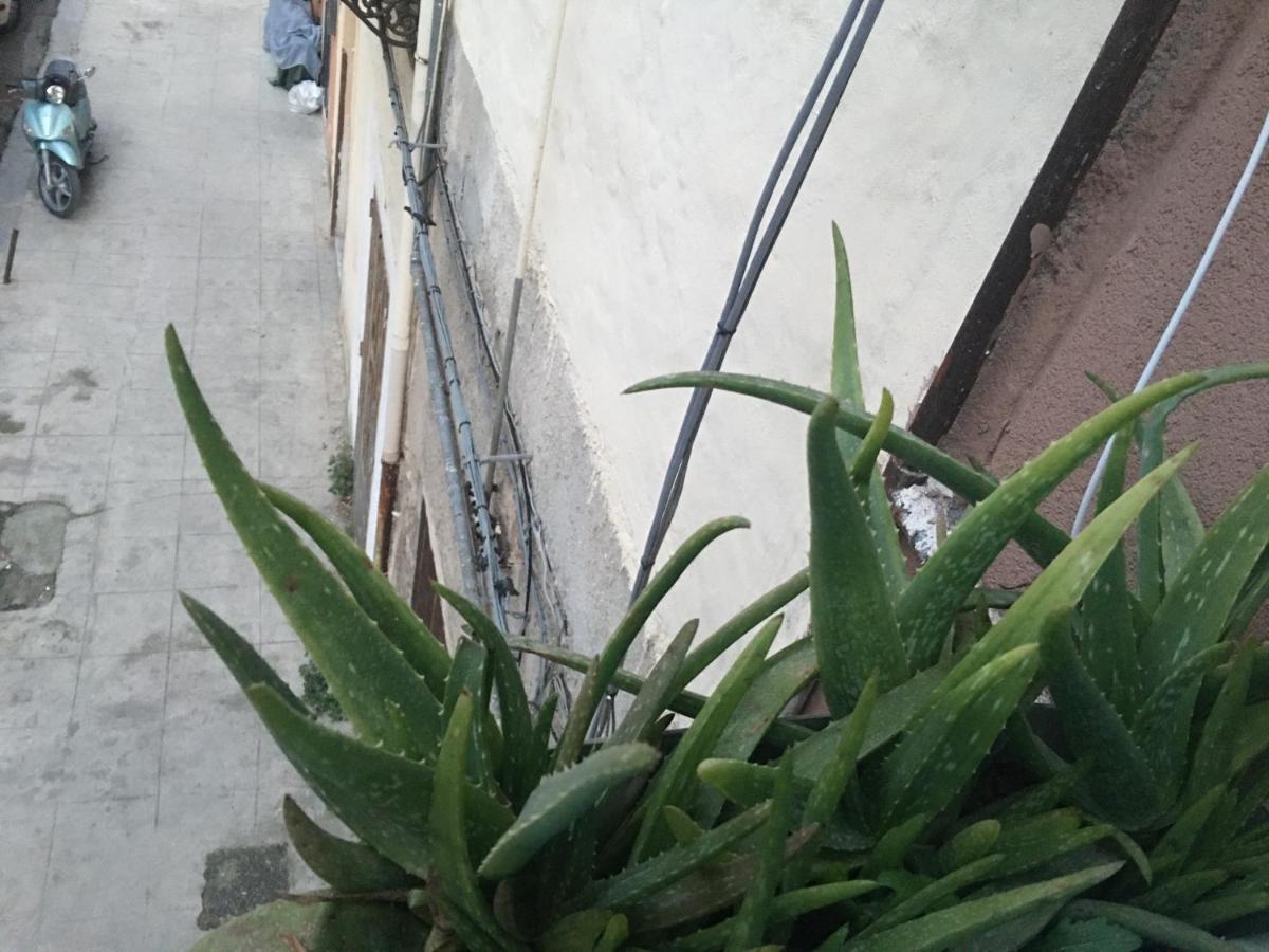 Bilocale Serpotta Di Mary& Gio Apartment ปาแลร์โม ภายนอก รูปภาพ
